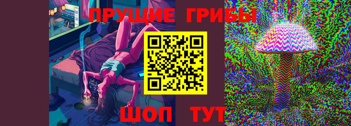 Лосино-Петровский  Галлюциногенные грибы прущие грибы  Вход с VPN 