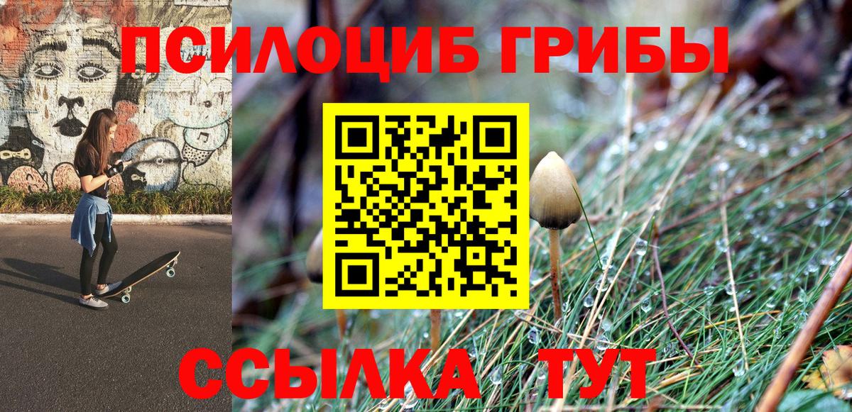 Псилоцибиновые грибы мицелий Лосино-Петровский